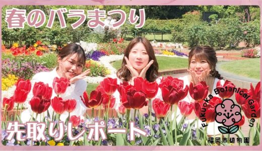 『福岡のおすすめ穴場撮影スポット！ウェディングフォト前撮りにもオススメ！福岡市植物園春のバラまつり』を公開しました。