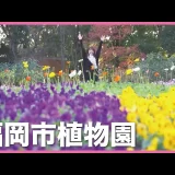 『【短歌女子】福岡市植物園編』を公開しました。